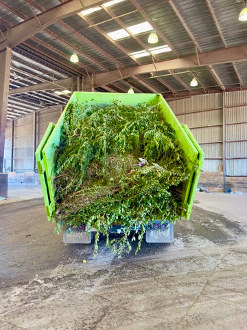 Yard debris dumpster rental in Colorado Springs