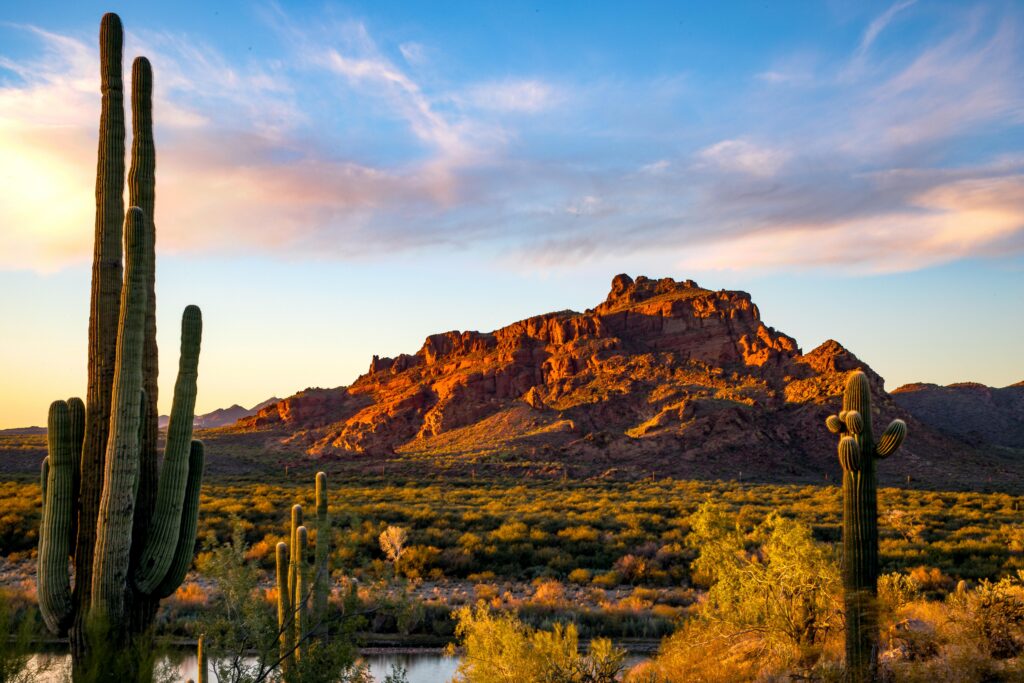 Red Mountain - Mesa Arizona