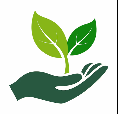 Environmental Responsibility - Hand Holding Leaves