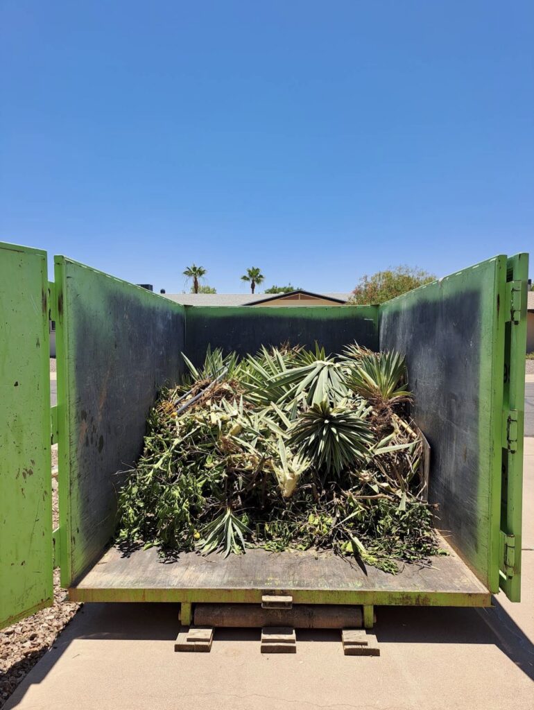 Yard Cleanup Dumpster