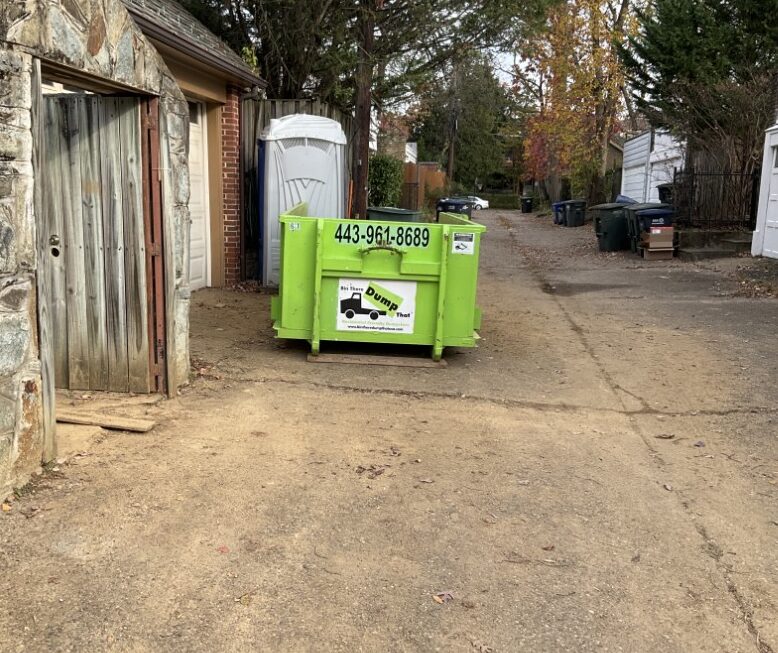 dumpster in alley