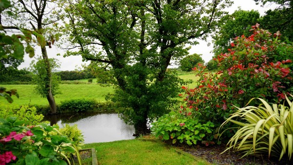 green garden green garden