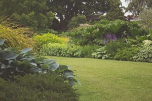 garden-grass-green-7283