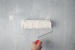 painting the house